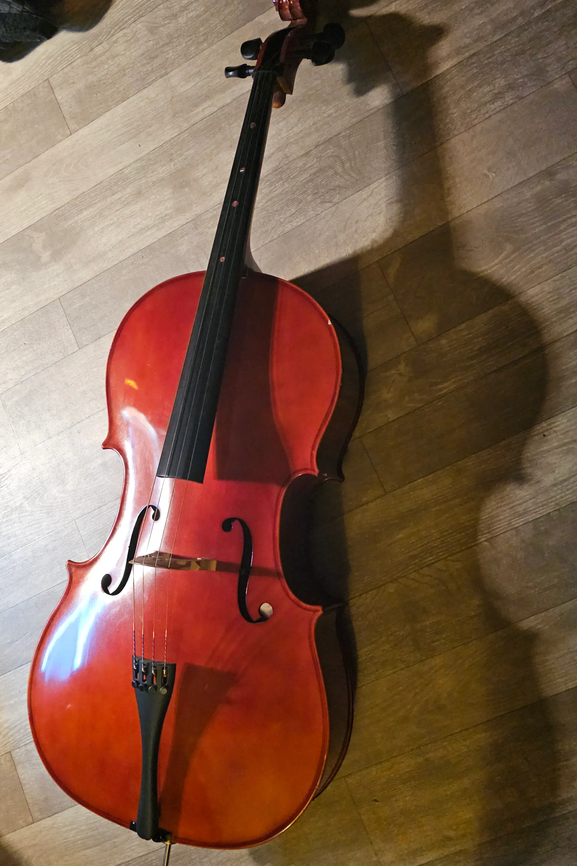 My first cello (Strobel) resting in a room.