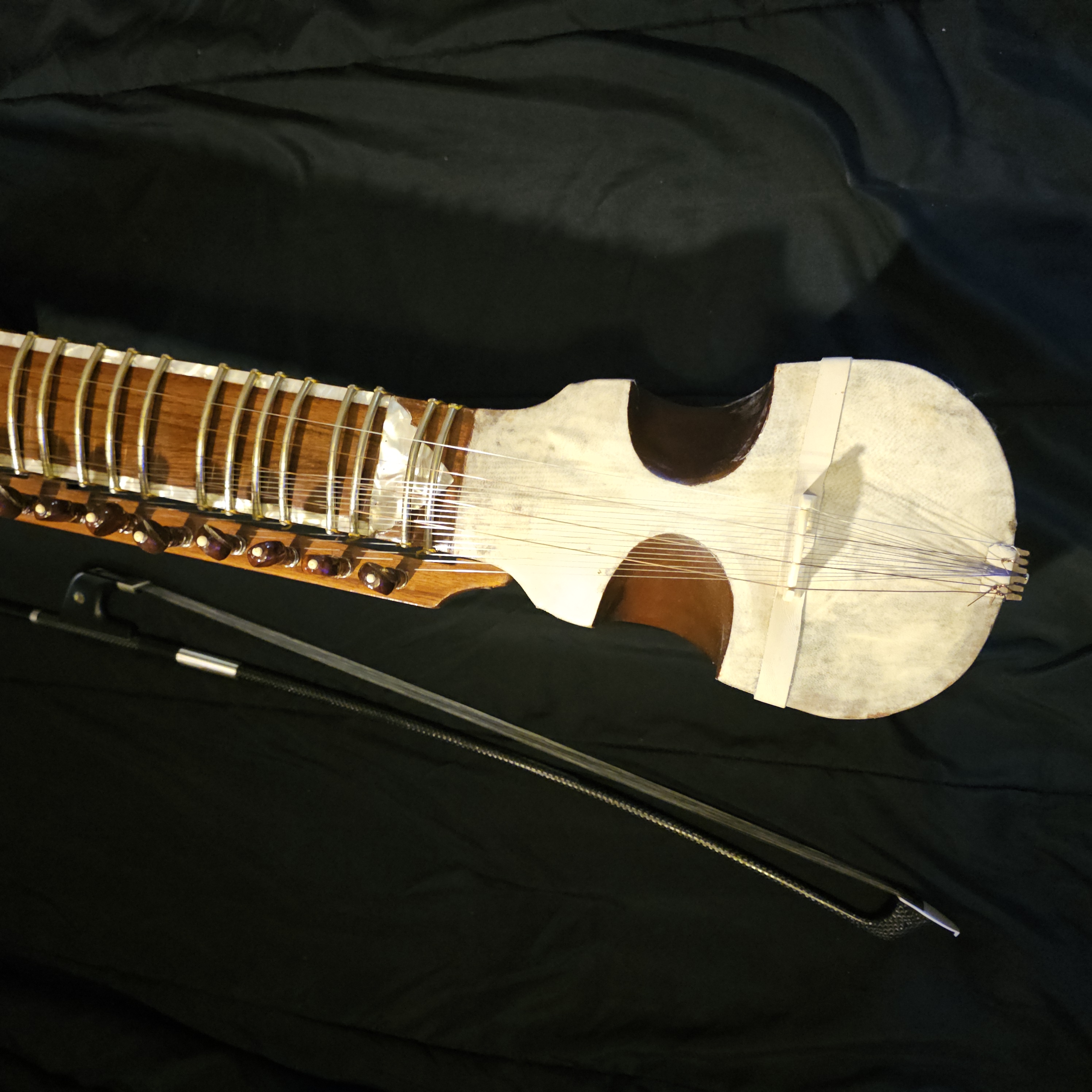 Close-up of Indian Esraj