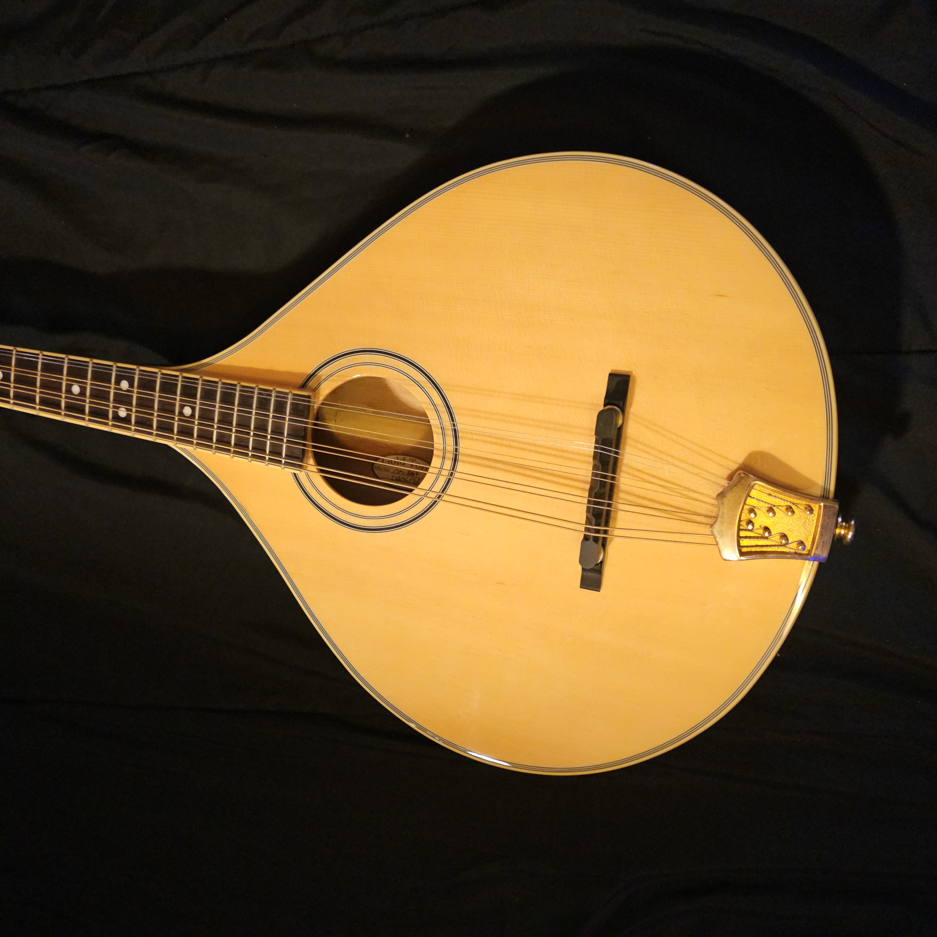 Close-up of Octave Mandolin