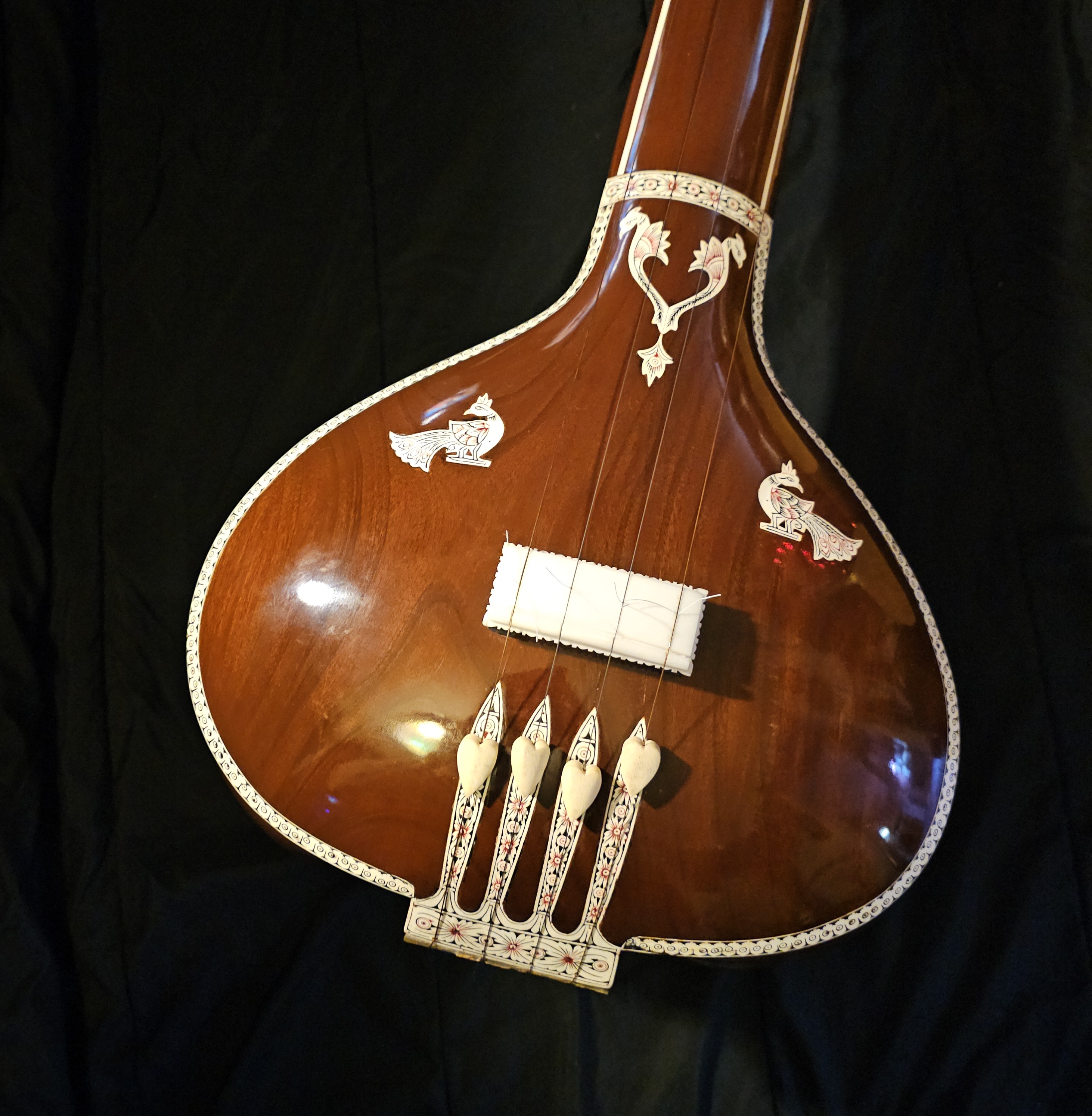Close-up of Tanpura