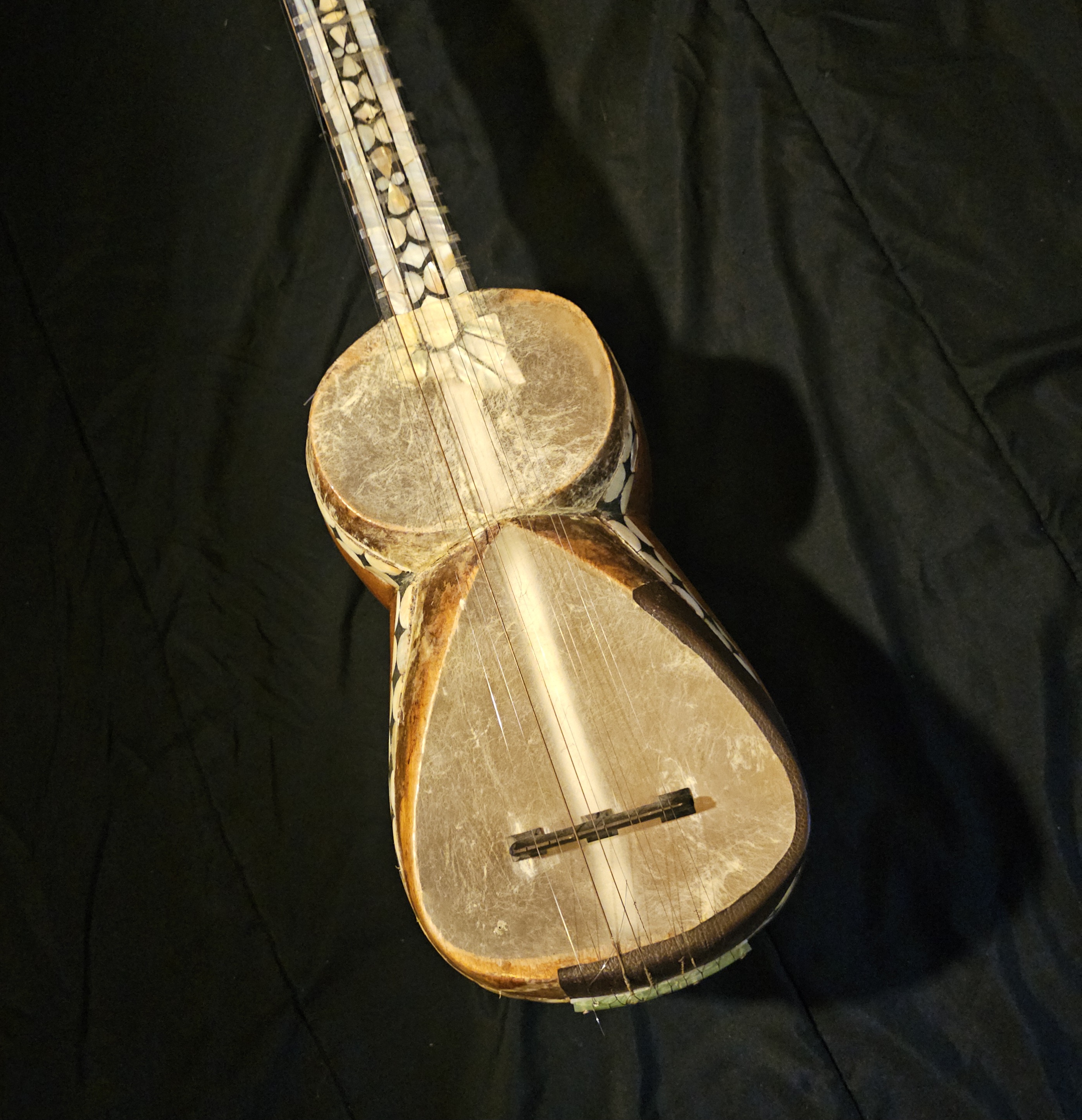 Close-up of Azeri Tar