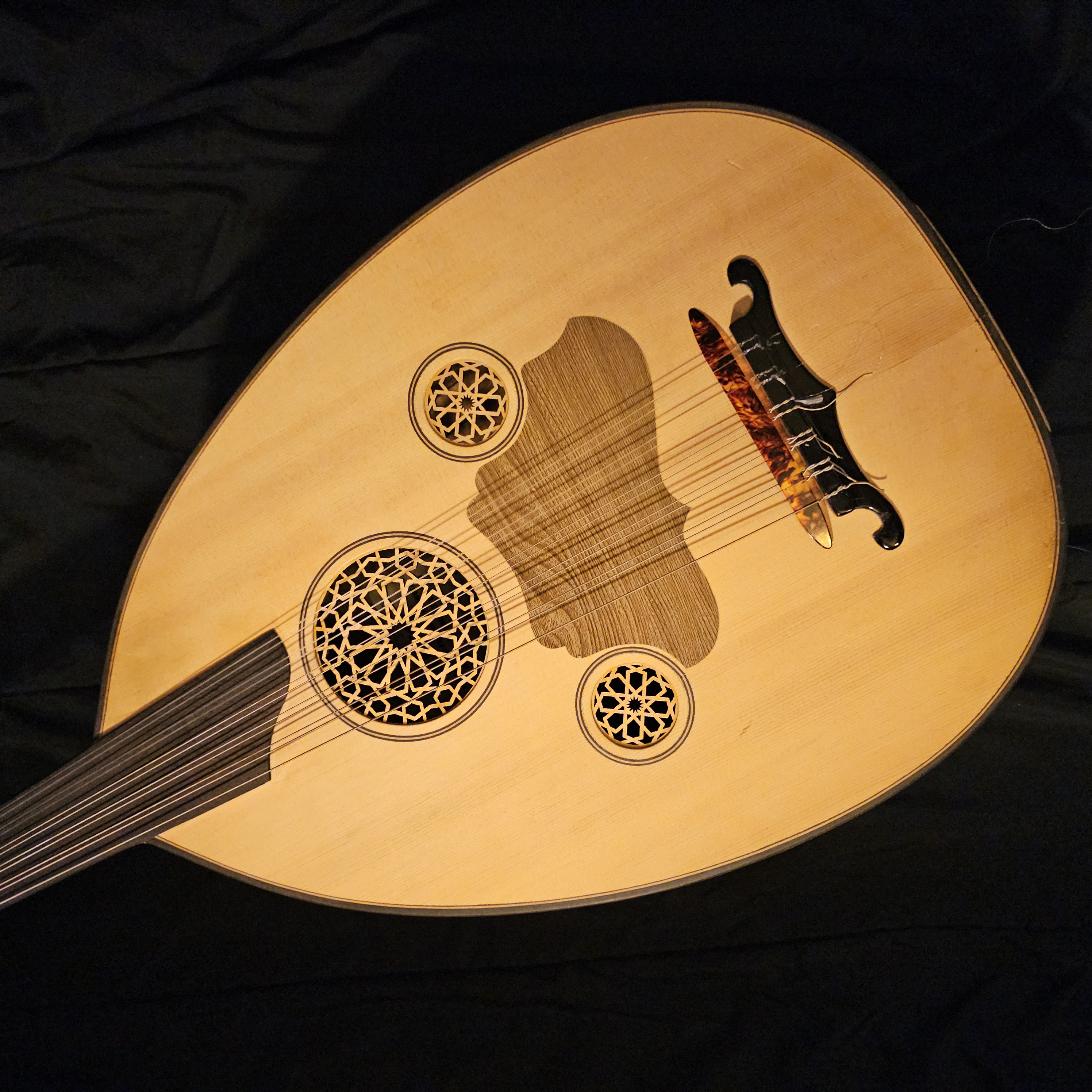 Close-up of Turkish Oud